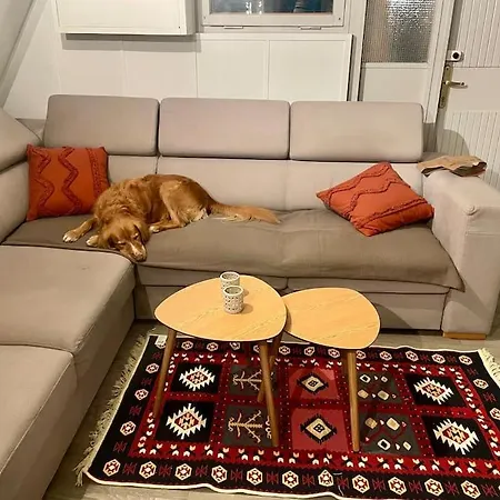 شقة Kaminsko, Puszcza Zielonka, Dom Nad Jeziorem Kaminsko