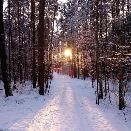 Apartman Kaminsko, Puszcza Zielonka, Dom Nad Jeziorem *