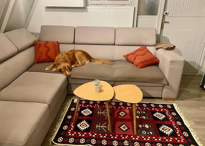 Apartment Kaminsko, Puszcza Zielonka, Dom Nad Jeziorem Kaminsko