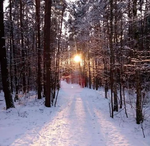 شقة Kaminsko, Puszcza Zielonka, Dom Nad Jeziorem *